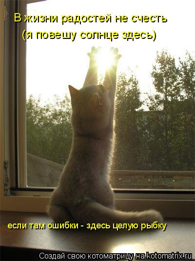 Котоматрица: В жизни радостей не счесть (я повешу солнце здесь) если там ошибки - здесь целую рыбку