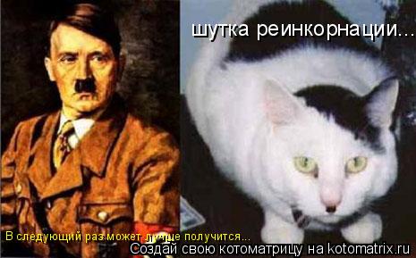 Котоматрица: В следующий раз может лучше получится... шутка реинкорнации...