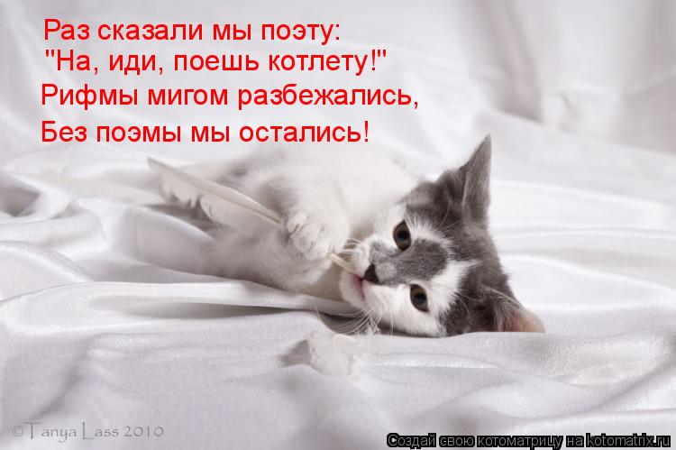 "На, иди, поешь котлету!" Раз сказали мы поэту: Рифмы мигом разбежались, Без поэмы мы остались!... Котоматрица: "На, иди, поешь котлету!" Раз сказали мы поэту: Рифмы мигом разбежались, Без поэмы мы остались!