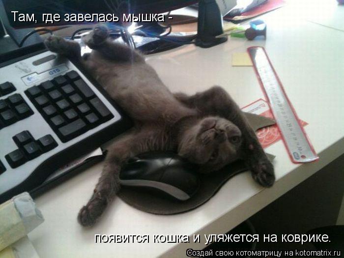 появится кошка и уляжется на коврике. Там, где завелась мышка -... Котоматрица: появится кошка и уляжется на коврике. Там, где завелась мышка -