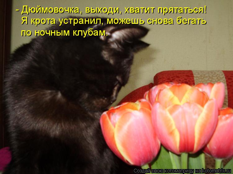 - Дюймовочка, выходи, хватит прятаться! Я крота устранил, можешь снова бегать по ночным клубам.... Котоматрица: - Дюймовочка, выходи, хватит прятаться! Я крота устранил, можешь снова бегать по ночным клубам.