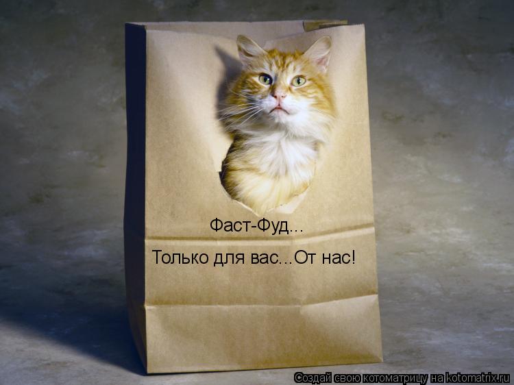 Фаст-Фуд... Только для вас...От нас!... Котоматрица: Фаст-Фуд... Только для вас...От нас!