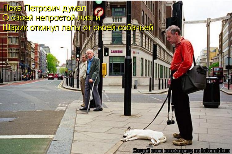 Пока Петрович думал О своей непростой жизни Шарик откинул лапы от своей собачьей... Котоматрица: Пока Петрович думал О своей непростой жизни Шарик откинул лапы от своей собачьей