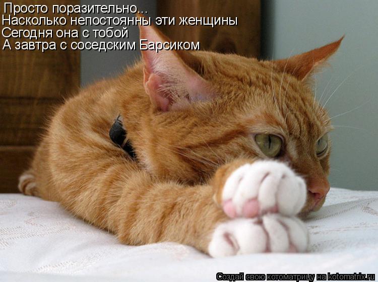 Котоматрица: Просто поразительно... Насколько непостоянны эти женщины Сегодня она с тобой А завтра с соседским Барсиком