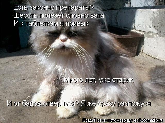 Есть закончу препараты? Шерсть полезет словно вата И к таблеткам я привык Много лет, уже старик И от ... Котоматрица: Есть закончу препараты? Шерсть полезет словно вата И к таблеткам я привык Много лет, уже старик И от бадов отвернуся? Я же сразу разложуся.