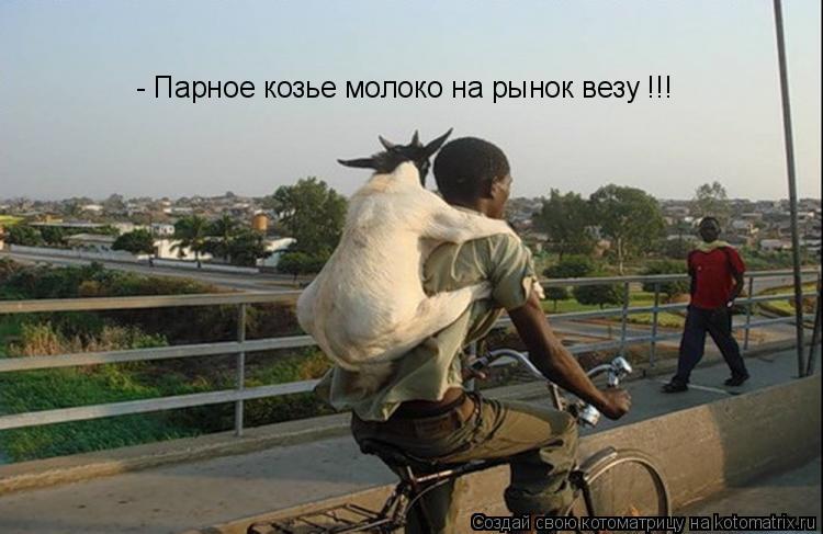 Котоматрица: - Парное козье молоко на рынок везу !!!