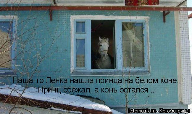 - Наша-то Ленка нашла принца на белом коне... Принц сбежал, а конь остался ...... Котоматрица: - Наша-то Ленка нашла принца на белом коне... Принц сбежал, а конь остался ...