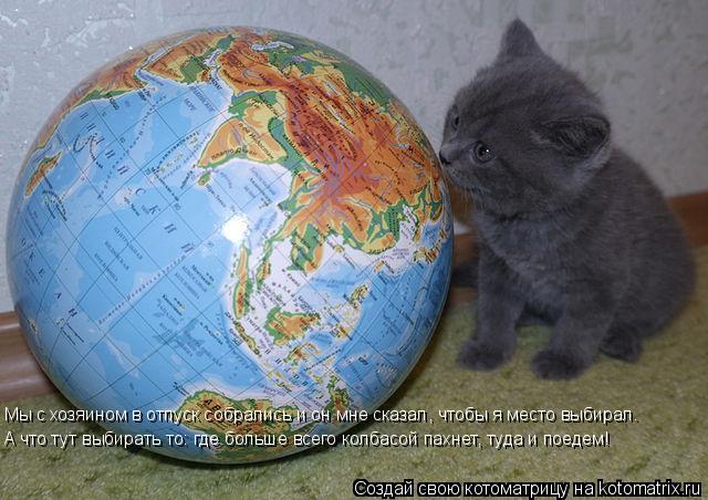 Мы с хозяином в отпуск собрались и он мне сказал, чтобы я место выбирал. А что тут выбирать то: где ... Котоматрица: Мы с хозяином в отпуск собрались и он мне сказал, чтобы я место выбирал. А что тут выбирать то: где больше всего колбасой пахнет, туда и поеде