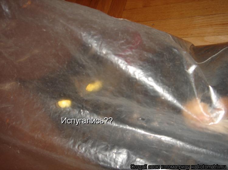 Испугались??... Котоматрица: Испугались??