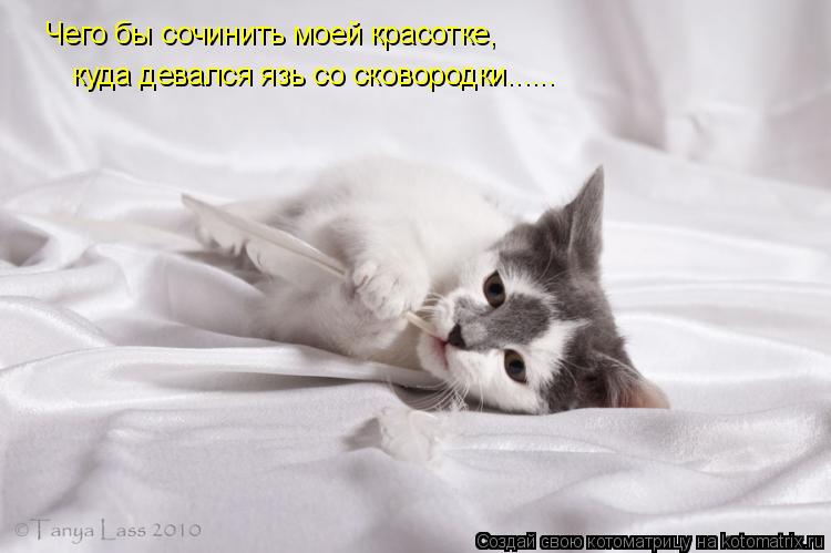 Котоматрица: Чего бы сочинить моей красотке, куда девался язь со сковородки......