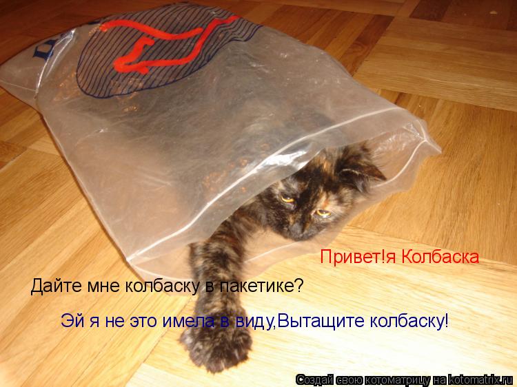 Котоматрица: Привет!я Колбаска Дайте мне колбаску в пакетике? Эй я не это имела в виду,Вытащите колбаску!