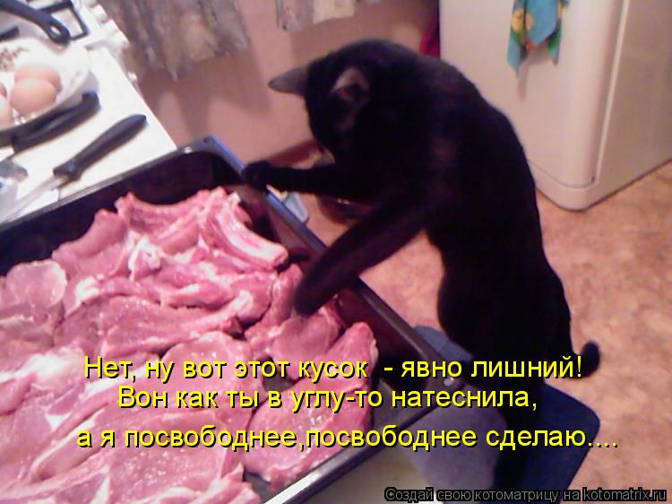 Котоматрица: Нет, ну вот этот кусок  - явно лишний! Вон как ты в углу-то натеснила, а я посвободнее,посвободнее сделаю....