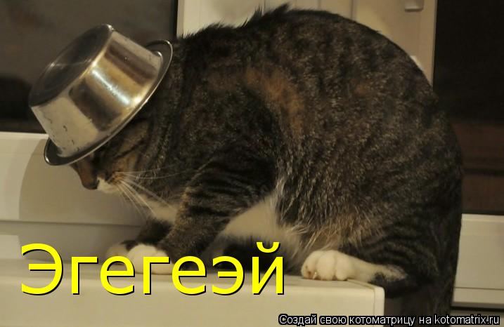Котоматрица: Эгегеэй