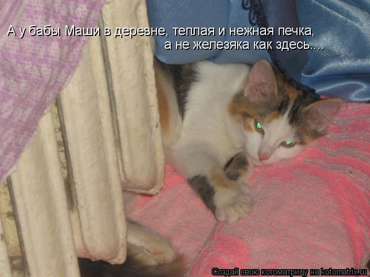 Котоматрица: А у бабы Маши в деревне, теплая и нежная печка, а не железяка как здесь....