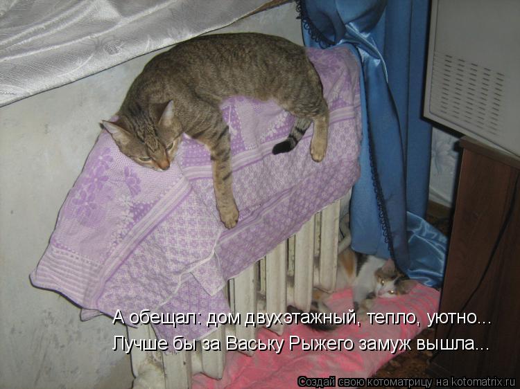 Котоматрица: А обещал: дом двухэтажный, тепло, уютно... Лучше бы за Ваську Рыжего замуж вышла...
