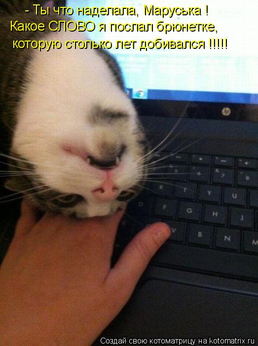 Котоматрица: - Ты что наделала, Маруська ! Какое СЛОВО я послал брюнетке, которую столько лет добивался !!!!!