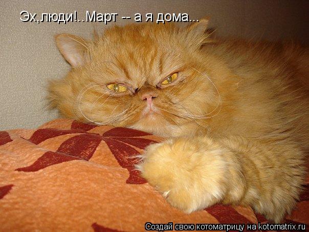 Котоматрица: Эх,люди!..Март -- а я дома...