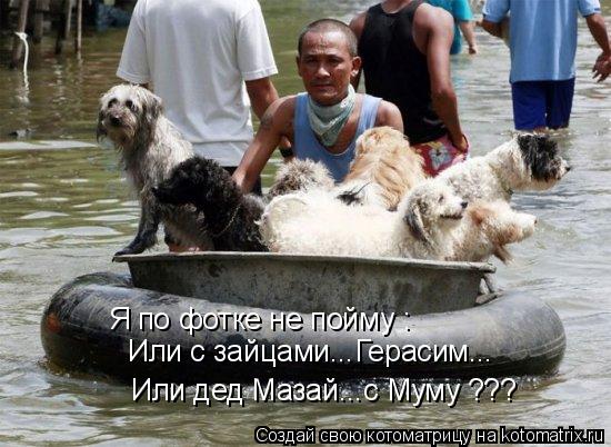 Котоматрица: Я по фотке не пойму : Или с зайцами...Герасим... Или дед Мазай...с Муму ???