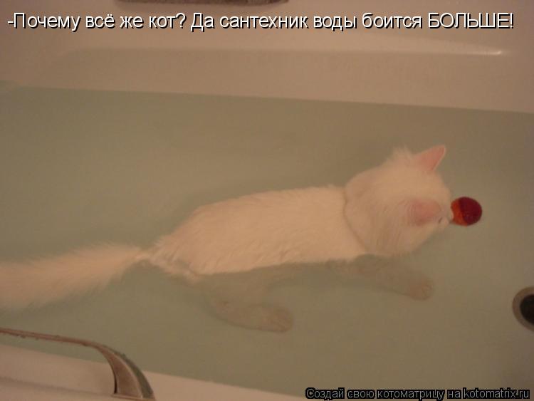 Котоматрица: -Почему всё же кот? Да сантехник воды боится БОЛЬШЕ!