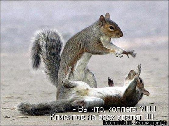 Котоматрица: - Вы что, коллега ?!!!!! Клиентов на всех хватит !!!!