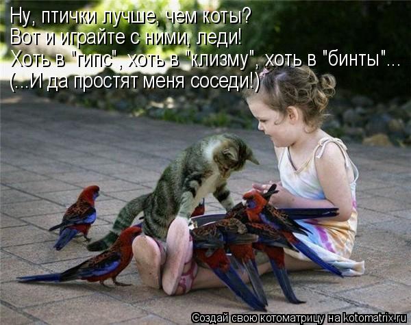 Котоматрица: Ну, птички лучше, чем коты? Вот и играйте с ними, леди! Хоть в "гипс", хоть в "клизму", хоть в "бинты"... (...И да простят меня соседи!)