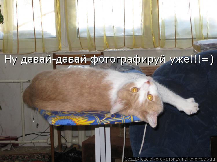 Котоматрица: Ну давай-давай фотографируй уже!!!=)