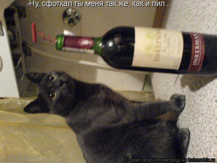 Котоматрица: -Ну, сфоткал ты меня так же, как и пил...