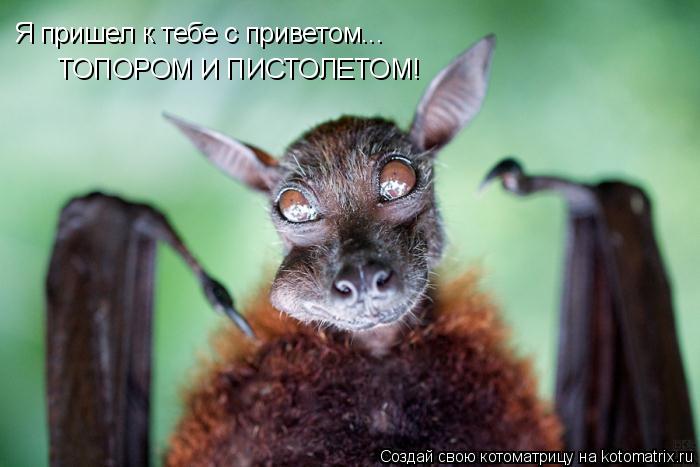 Котоматрица: Я пришел к тебе с приветом... ТОПОРОМ И ПИСТОЛЕТОМ!