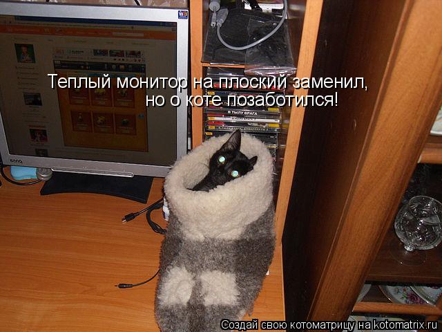 Котоматрица: Теплый монитор на плоский заменил, но о коте позаботился!