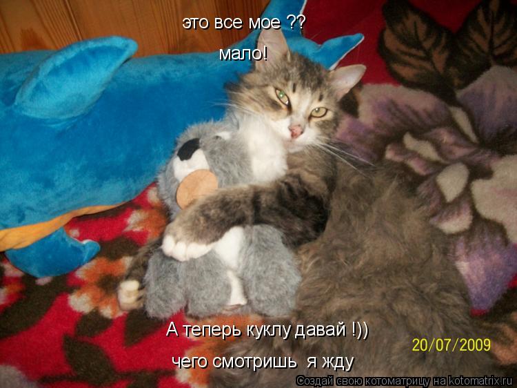 Котоматрица: А теперь куклу давай !)) чего смотришь  я жду это все мое ?? мало!