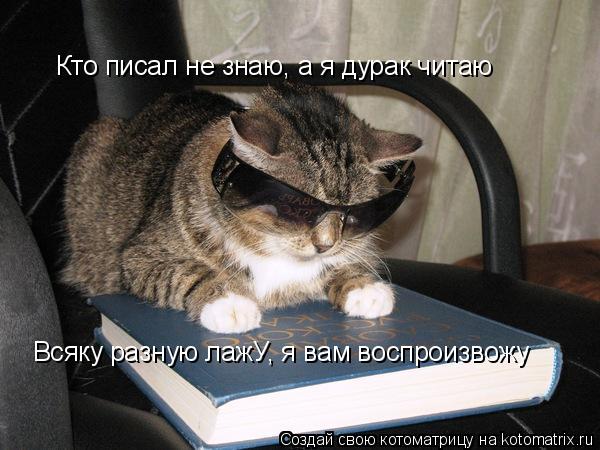Котоматрица: Кто писал не знаю, а я дурак читаю Всяку разную лажУ, я вам воспроизвожу
