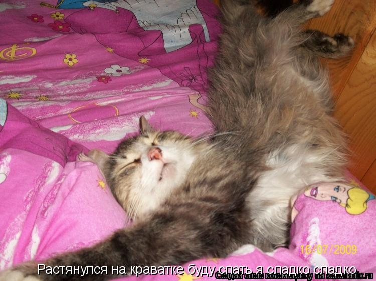 Котоматрица: Растянулся на краватке буду спать я сладко сладко