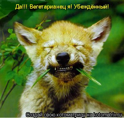 Котоматрица: Да!!! Вегетарианец я! Убеждённый!