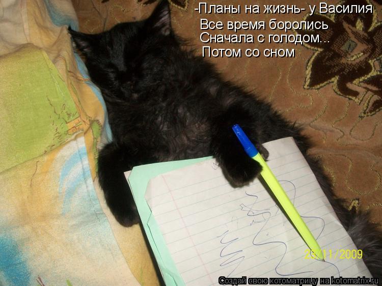Котоматрица: Все время боролись Сначала с голодом... Потом со сном -Планы на жизнь- у Василия