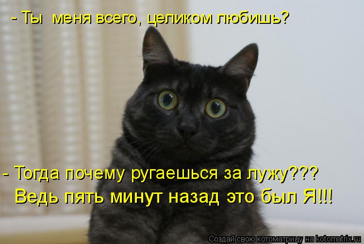 Котоматрица: - Ты  меня всего, целиком любишь? - Тогда почему ругаешься за лужу??? Ведь пять минут назад это был Я!!!