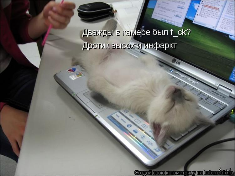Котоматрица: Дважды в камере был f_ck? Дротик высох и инфаркт