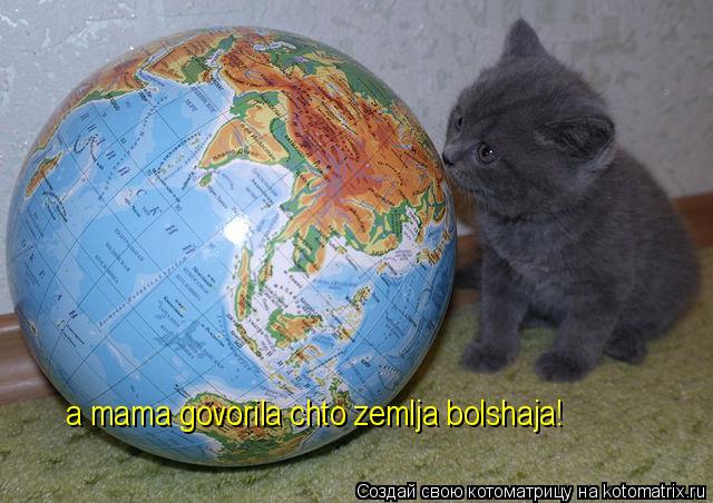 Котоматрица: a mama govorila chto zemlja bolshaja!