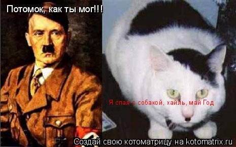 Котоматрица: Потомок, как ты мог!!! Я спал с собакой, хайль, май Год