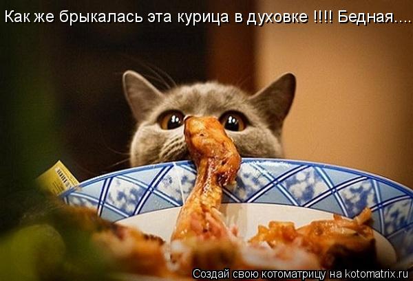 Котоматрица: Как же брыкалась эта курица в духовке !!!! Бедная....