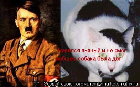 Котоматрица: Напился пьяный и не смог вобщем собака была дог