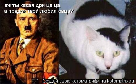 Котоматрица: аж ты какая дри ца ца а предок твой любил овца?