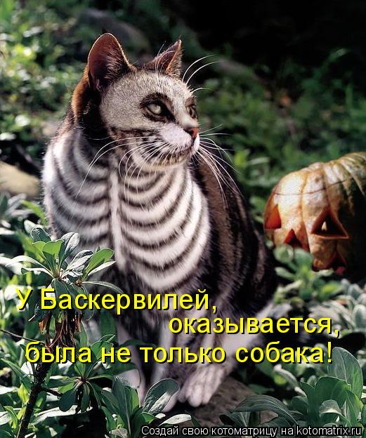 Котоматрица: У Баскервилей,  оказывается, была не только собака!