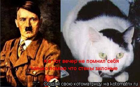 Котоматрица: я в тот вечер не помнил себя только помню что стены зилоные