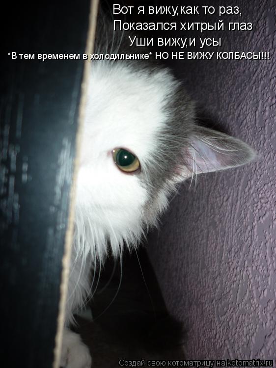 Котоматрица: Вот я вижу,как то раз, Вот я вижу,как то раз, Показался хитрый глаз Уши вижу,и усы *В тем временем в холодильнике* НО НЕ ВИЖУ КОЛБАСЫ!!!