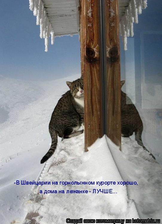 Котоматрица: -В Швейцарии на горнолыжном курорте хорошоа на дома на лежанке - лучше.. -В Швейцарии на горнолыжном курорте хорошо на дома на лежанке - лучше