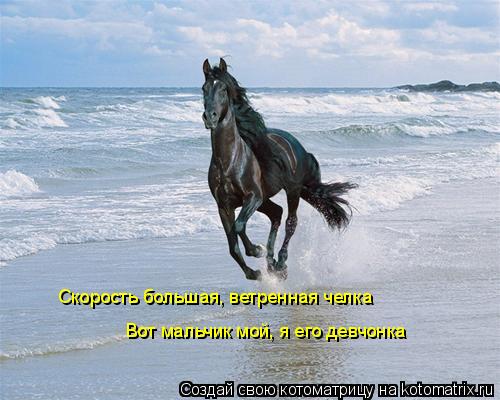 Котоматрица: Скорость большая, ветренная челка Вот мальчик мой, я его девчонка