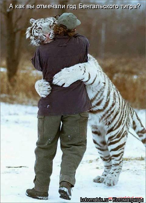 Котоматрица: А как вы отмечали год Бенгальского тигра?