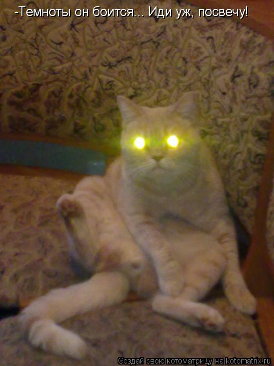 Котоматрица: -Темноты он боится... Иди уж, посвечу!