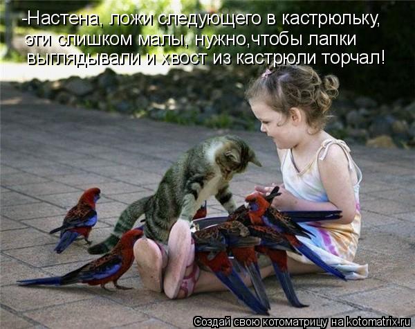 Котоматрица: -Настена, ложи следующего в кастрюльку,  эти слишком малы, нужно,чтобы лапки  выглядывали и хвост из кастрюли торчал!