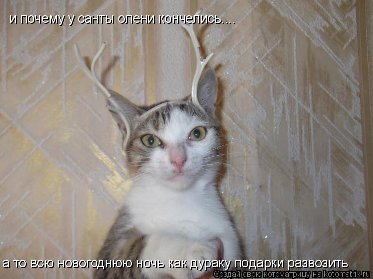 и почему у санты олени кончелись.... а то всю новогоднюю ночь как дураку подарки развозить... Котоматрица: и почему у санты олени кончелись.... а то всю новогоднюю ночь как дураку подарки развозить
